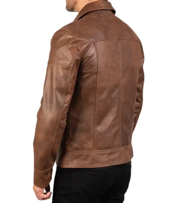 Tavesso Brown Classic Leather Zipper Jacket Back Look