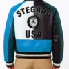Multicolor Bomber Leather Blue Jacket Back