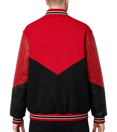 Stegaro Signature Varsity Bomber Jacket Back Look