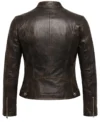 Women's Moto Muse Brown Leather Jacket back view
