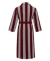 Matthew Broderick ferris bueller bathrobe